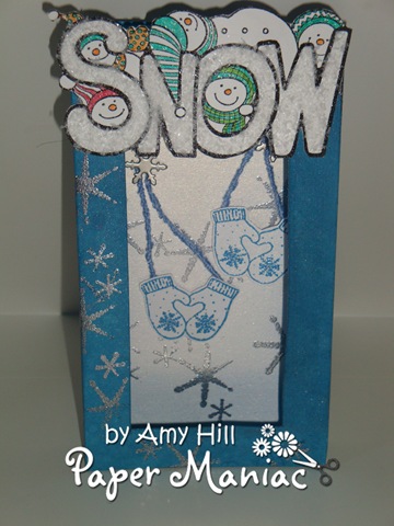 [snowshadowbox4.jpg]