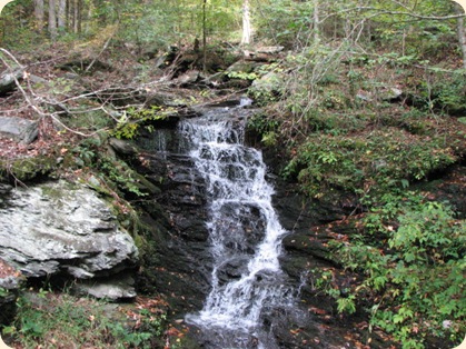 Cherohala Skyway 074