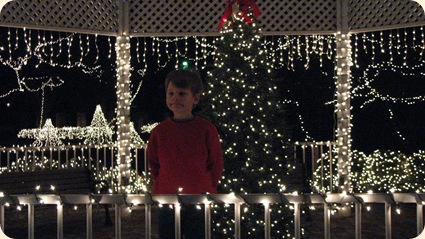 Christmas Lights at Red Bay 008