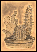 194 Cactusi