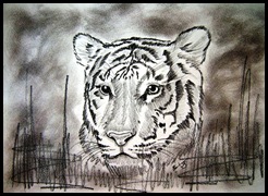 207 Cap de tigru