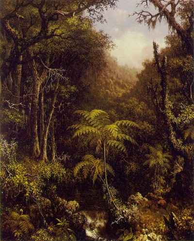Brazilian-Forest-1864