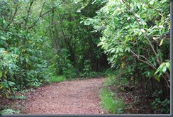 Meadowlark Gardens Trail (2)
