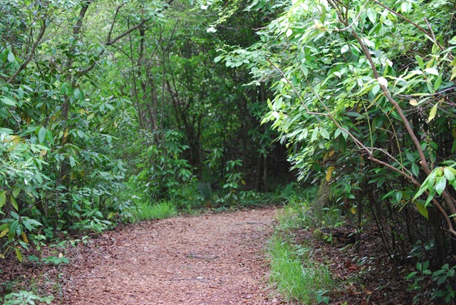 [Meadowlark Gardens Trail (2)[2].jpg]