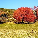 https://goo.gl/photos/bErw65cFGyQuFHjEA