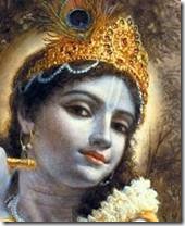 clip_image003[14]