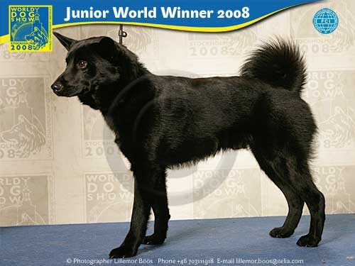 523jwwh_LBD2C6326.jpg