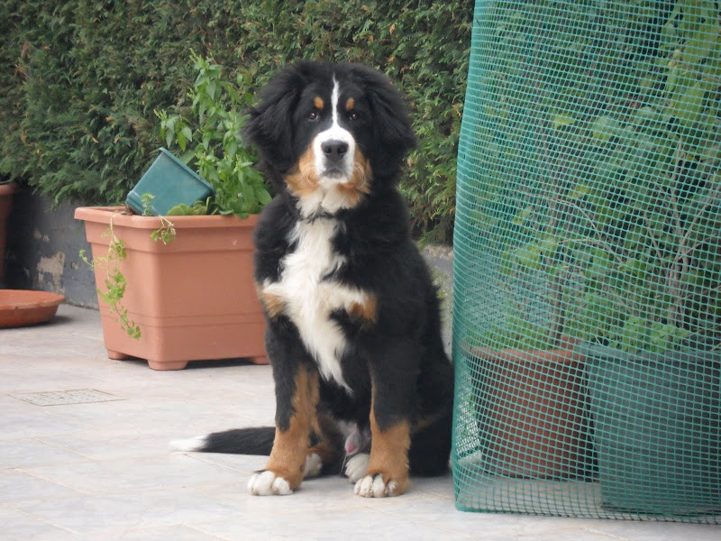 SAM_0558.JPG