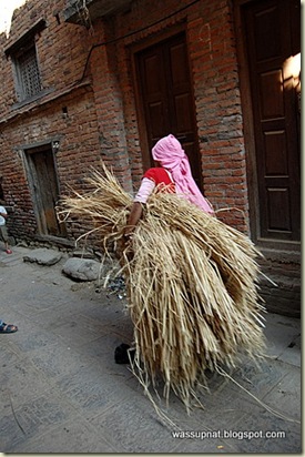 Carrying straw
