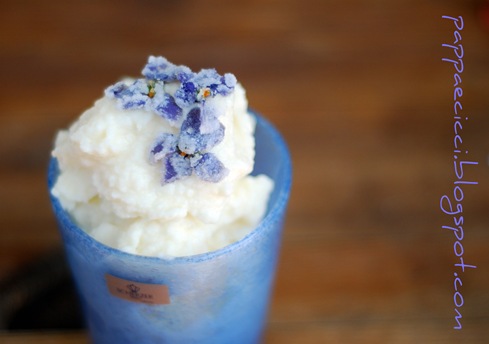 gelatoviole gelatoviole