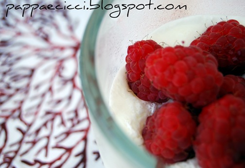 yogurt in red1
