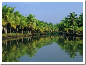 alleppey-backwaters