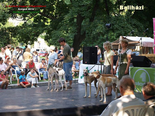 BH-agarak13.jpg
