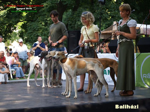 BH-agarak8.jpg