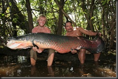 Giant-Fishes-around-the-world-11