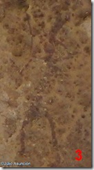 Figura de mujer - arte rupestre levantino - Vall d´Ebo
