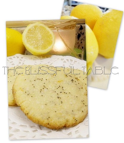 [Lemon Poppyseed Cookies collage[20].jpg]