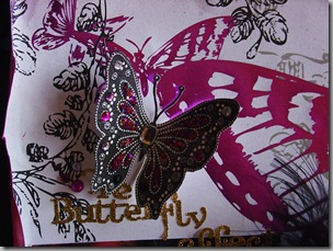Détails---Papillon-Strass