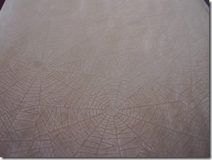 Spiderweb Spiderweb