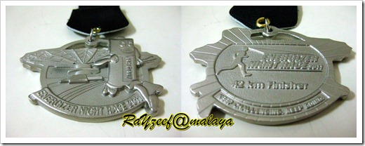 Medal ENR2011