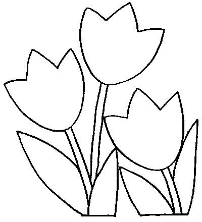 pintar tulipanes tulipanes para colorear