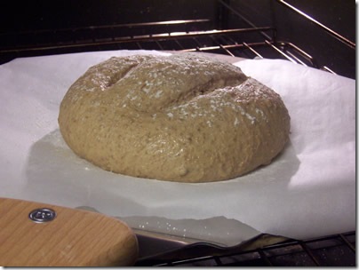 BBA-pumpernickel-bread 022