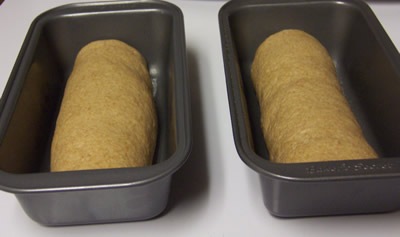 [BBA-whole-wheat-bread 025[4].jpg]