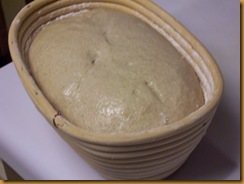 basic-savory-bread-dough 016