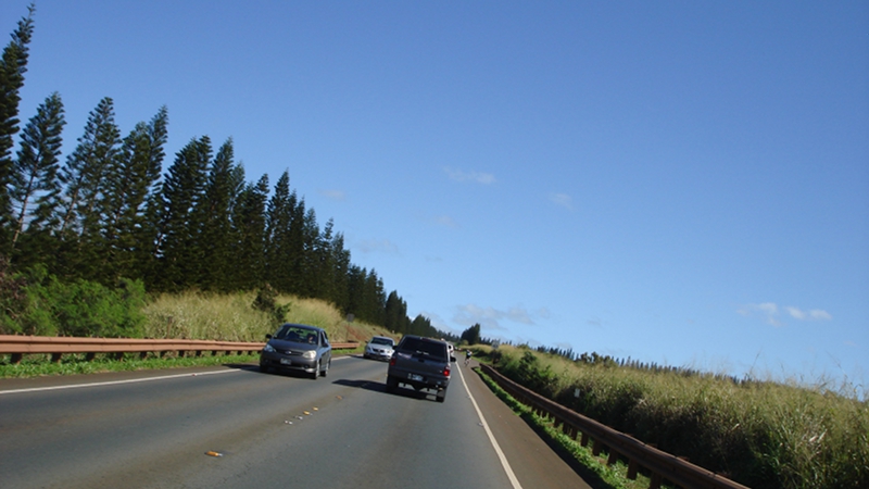 20100601_03.jpg