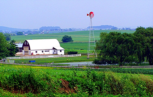 [Amish farm #1[7].jpg]
