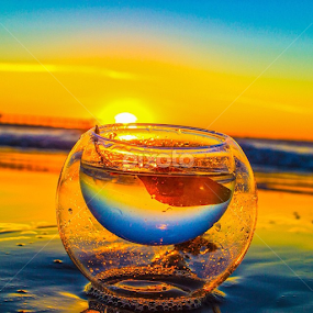 by Roman Gomez - Instagram & Mobile Instagram