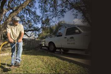 certified tree care austin reviews