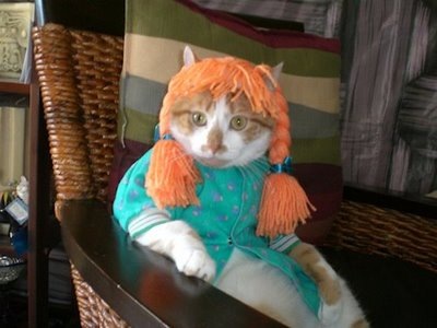 [cat_dressed_as_pippi_longstocking[7].jpg]
