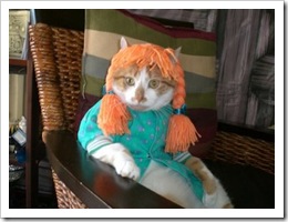 cat_dressed_as_pippi_longstocking
