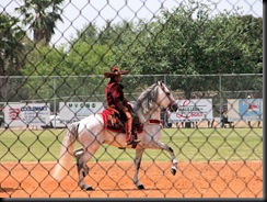 mexican dancing horses4