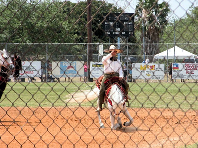 [mexican dancing horses6[2].jpg]