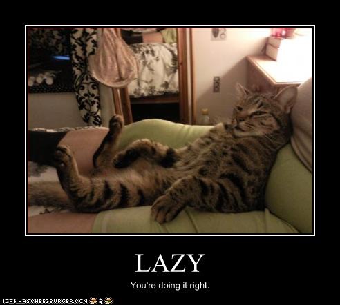 [funny-pictures-cat-is-very-lazy[5].jpg]