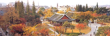 Daegu Gyeongsang-gamyeong Park in the Fall