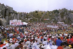 [Daegu Mt. Biseulsan Azalea Festival 01[5].jpg]