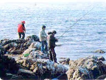 [Pohang Daedongbae Fishing Ground[11].jpg]
