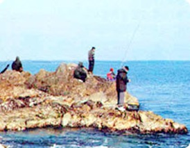 Pohang Cheongjin-ri Fishing Ground