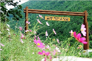 Uiseong Geumbong Recreational Forest 05
