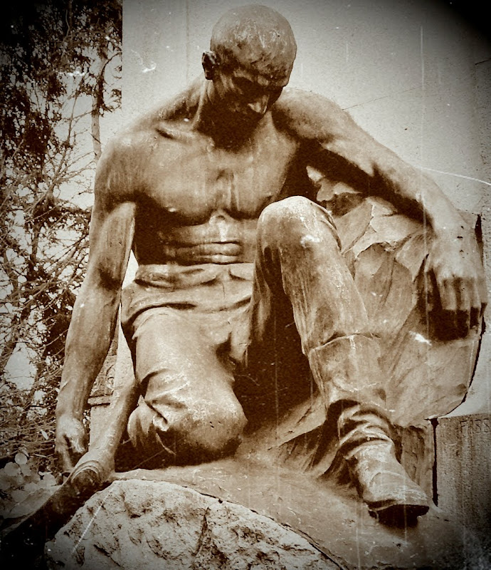 SDC19174.JPG