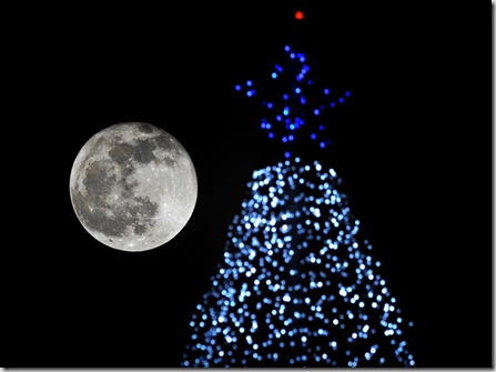 Full Moon Christmas Tree