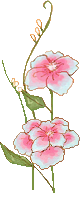0516_1j_s.gif