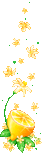 01%20%28119%29.gif