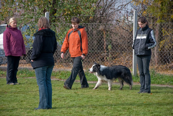 DSC_0203.jpg