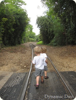 rals pulling gus down the tracks..