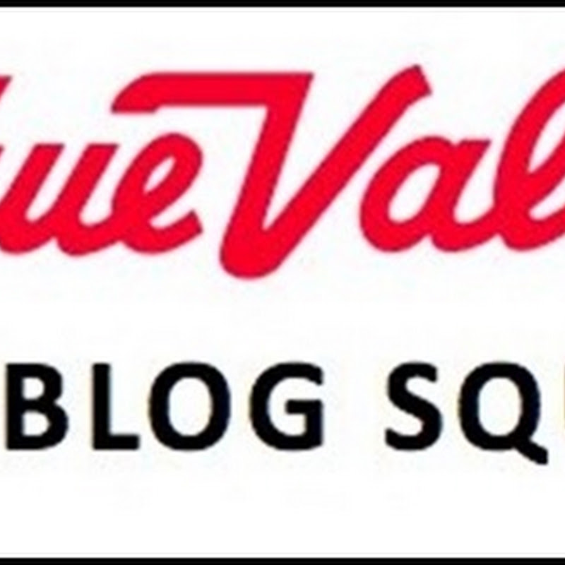 True Value DIY Blog Squad!