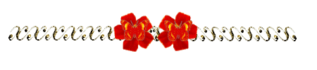 barraborflor.gif